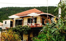 Horizon View Apartment